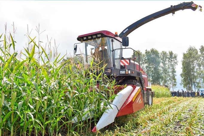 День поля кукурузы в Рязани